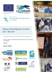 Icon of Tableaux de bord Migrateurs du Bassin Loire - Bilan 2017